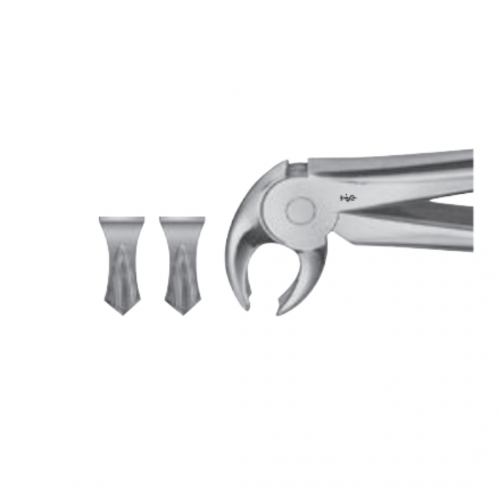 Dental Instruments