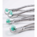 Physics Forcep Golden Package Combo - Physics Forceps Standard and Molar Set