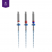Dental Instruments