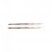 Dental Instruments