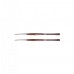 Dental Instruments