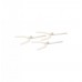 Dental Instruments