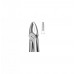 Dental Instruments