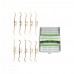 Dental Instruments