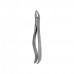 Dental Instruments