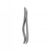 Dental Instruments