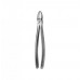 Dental Instruments