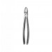 Dental Instruments