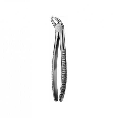 Lower Incisors Premolars and Roots Forceps, BUCHS profile, Fig 33