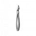 Dental Instruments