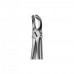 Dental Instruments