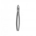 Dental Instruments